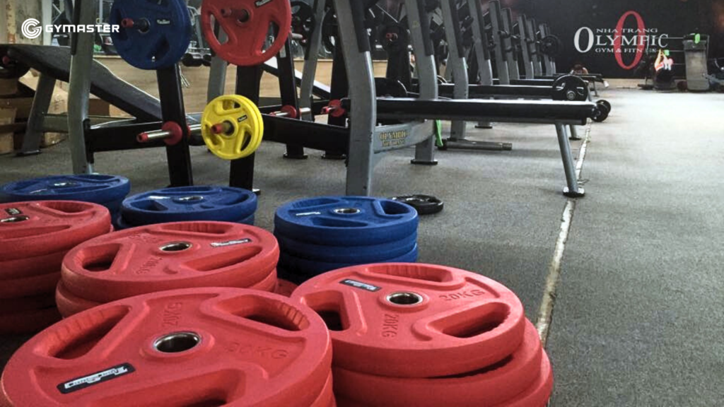 TƯ VẤN SETUP PHÒNG GYM OLYMPIC GYM & FITNESS NHA TRANG 6