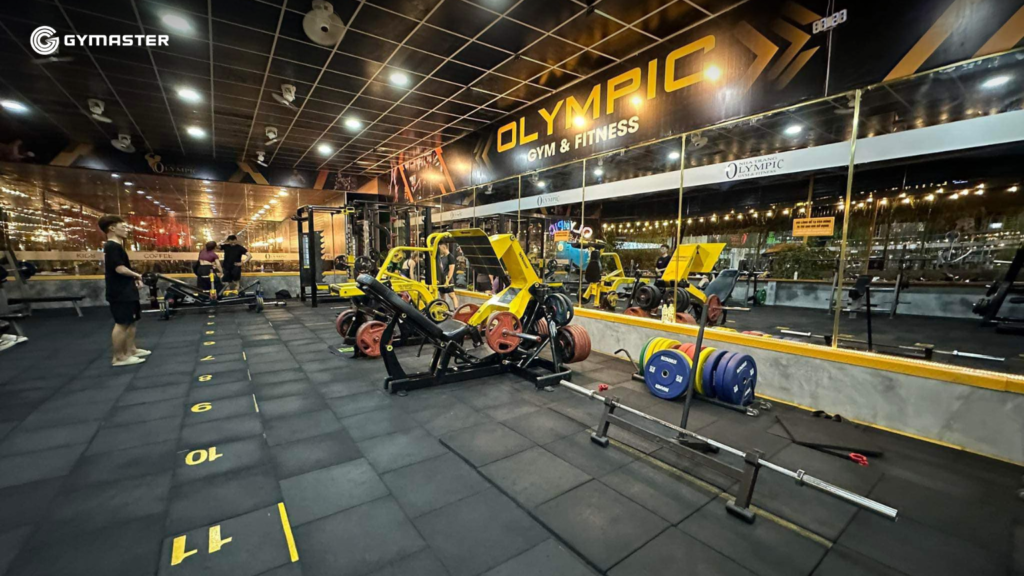 TƯ VẤN SETUP PHÒNG GYM OLYMPIC GYM & FITNESS NHA TRANG 9