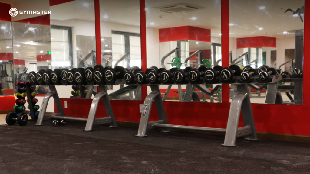 TƯ VẤN SETUP PHÒNG GYM ĐẠI HỌC HỒNG BÀNG - SULYNA GYM FITNESS CENTER 18