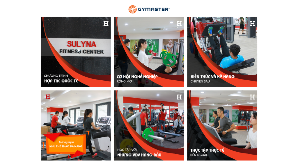 TƯ VẤN SETUP PHÒNG GYM ĐẠI HỌC HỒNG BÀNG - SULYNA GYM FITNESS CENTER 13