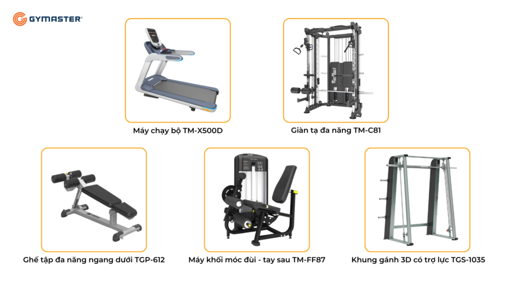 TƯ VẤN SETUP PHÒNG GYM THÀNH CÔNG XUÂN LỘC ĐỒNG NAI 2 TƯ VẤN SETUP PHÒNG GYM THÀNH CÔNG XUÂN LỘC ĐỒNG NAI 2