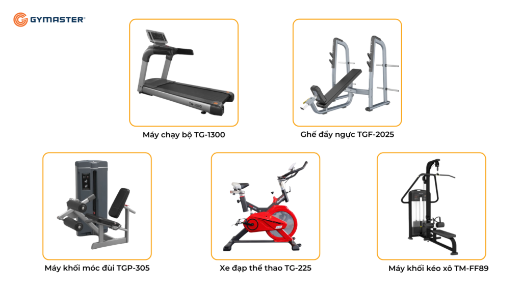 TƯ VẤN SETUP PHÒNG GYM ĐẠI HỌC Y DƯỢC - H&B GYM 5 TƯ VẤN SETUP PHÒNG GYM ĐẠI HỌC Y DƯỢC - H&B GYM 5
