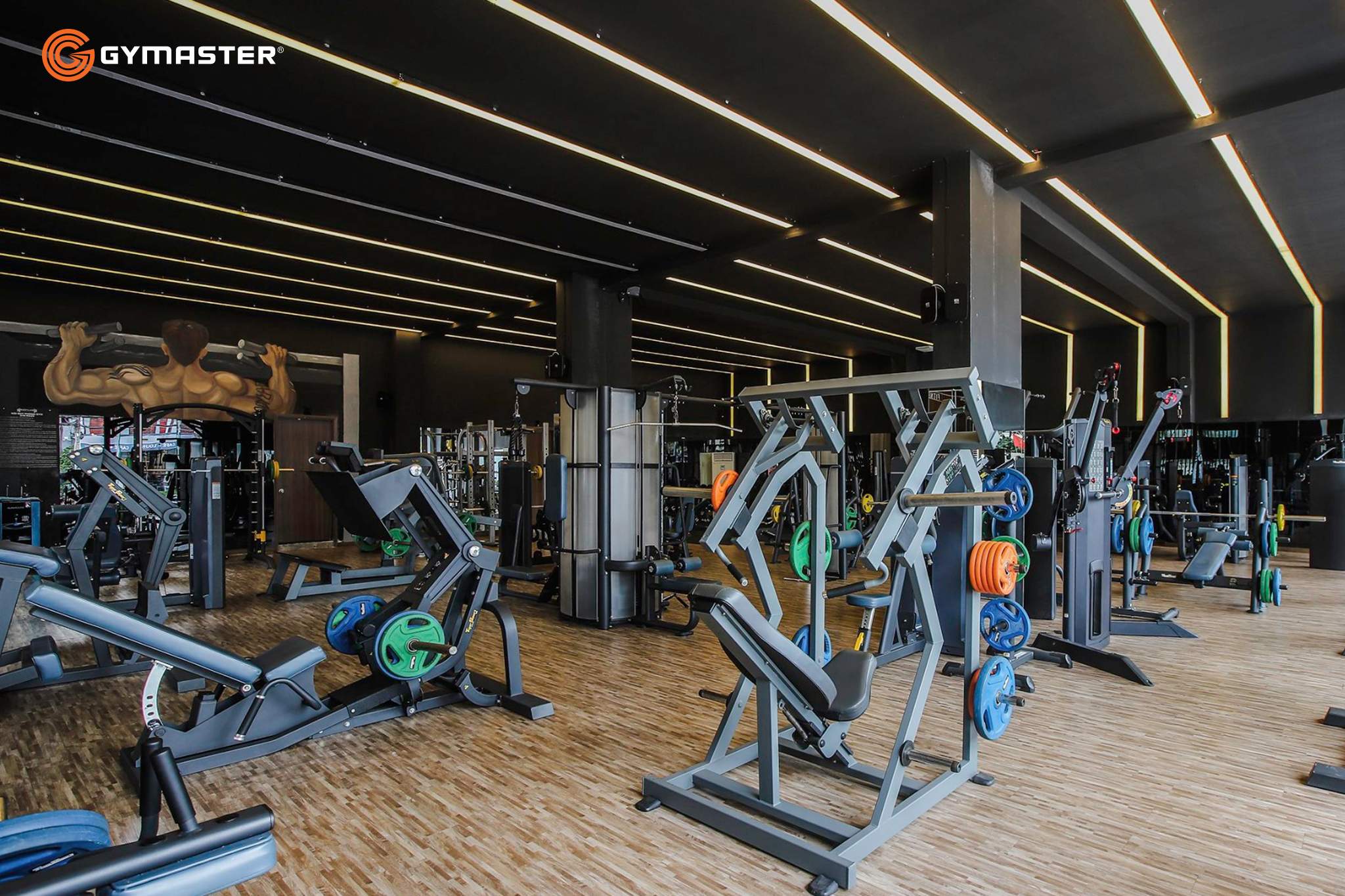 setup phòng gym gymaster bodylab giàn tạ 