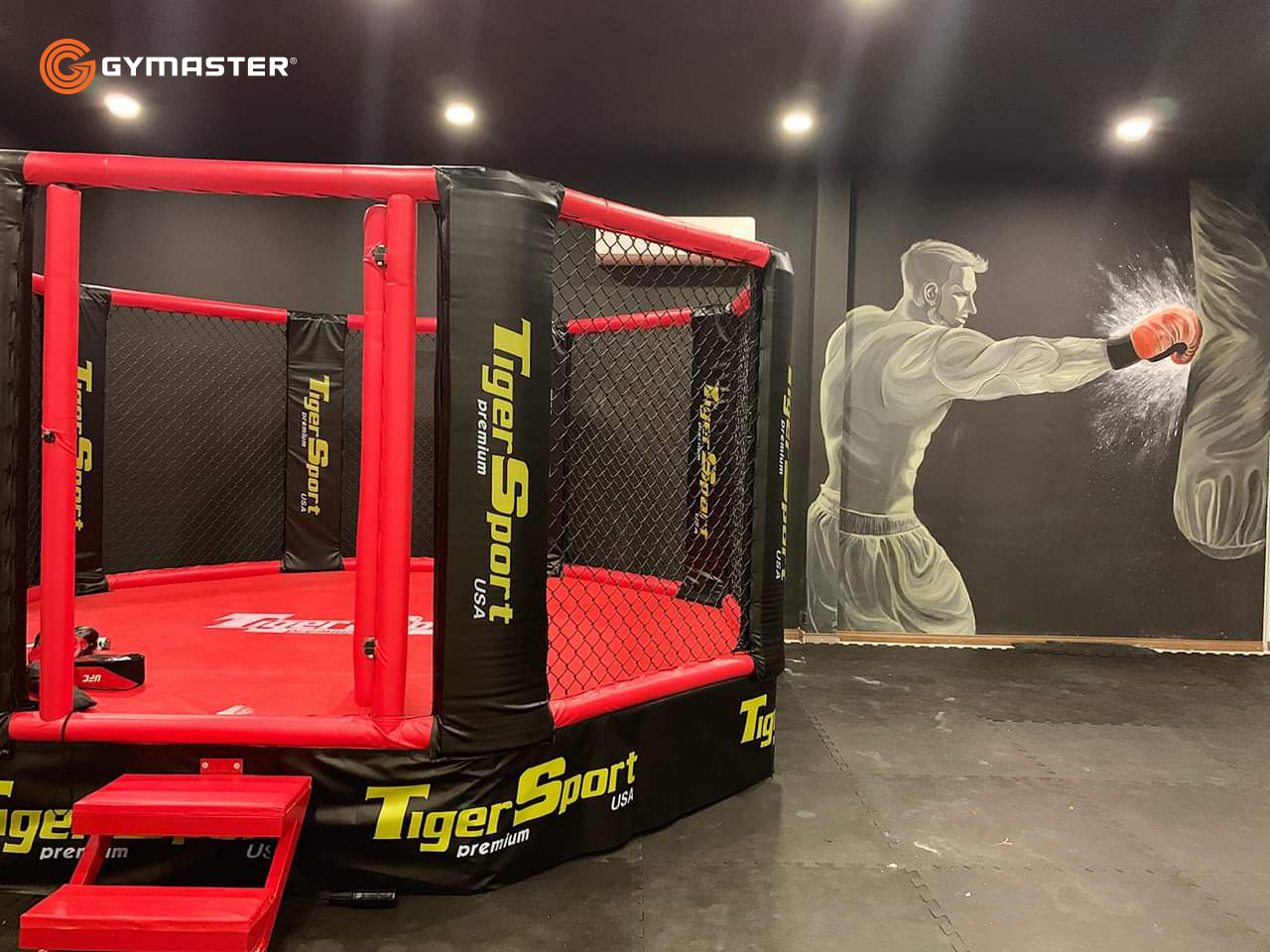 setup phòng gym gymaster bodylab lồng bác giác MMA