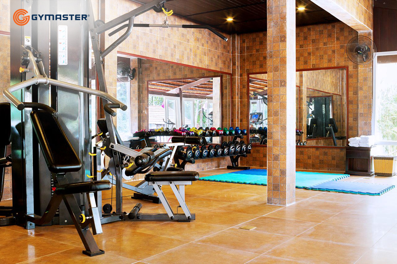 setup phòng gym gymaster sea sense dàn máy tổng hợp