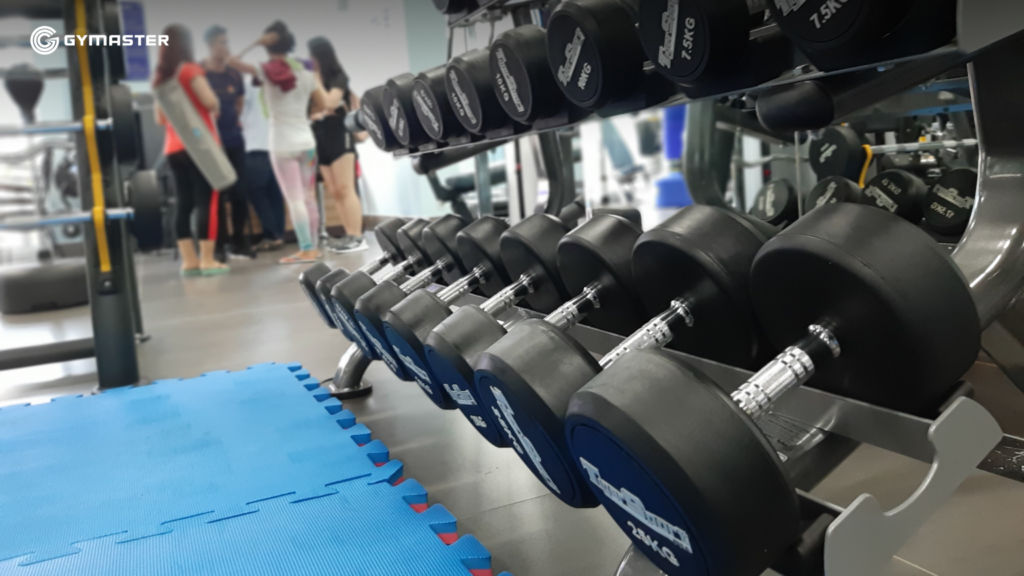 TƯ VẤN SETUP PHÒNG GYM CHUNG CƯ HOÀNG ANH GIAI VIỆT QUẬN 8 - HAGL GROUP 8 TƯ VẤN SETUP PHÒNG GYM CHUNG CƯ HOÀNG ANH GIAI VIỆT QUẬN 8 - HAGL GROUP 8