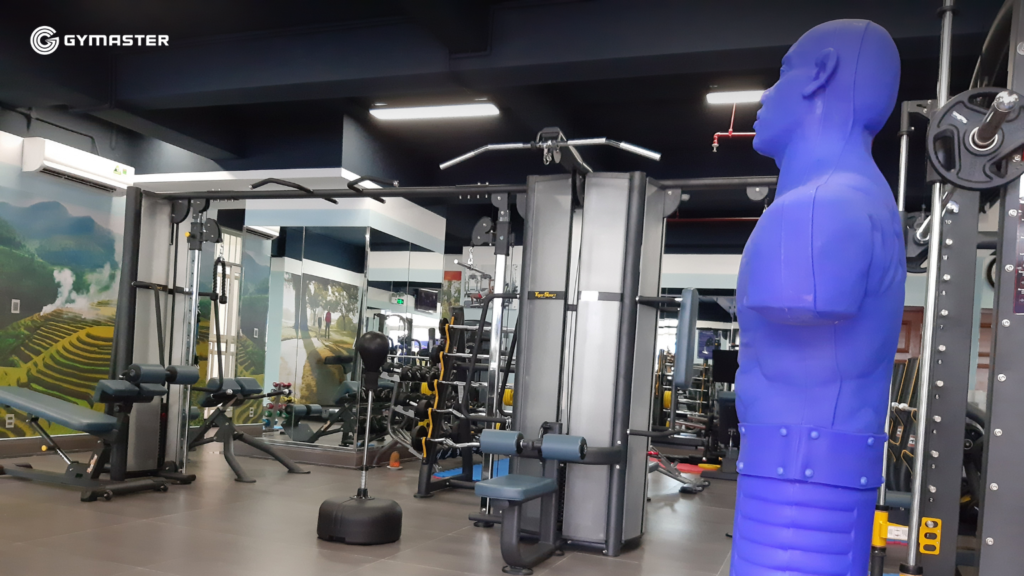TƯ VẤN SETUP PHÒNG GYM CHUNG CƯ HOÀNG ANH GIAI VIỆT QUẬN 8 - HAGL GROUP 21 TƯ VẤN SETUP PHÒNG GYM CHUNG CƯ HOÀNG ANH GIAI VIỆT QUẬN 8 - HAGL GROUP 21