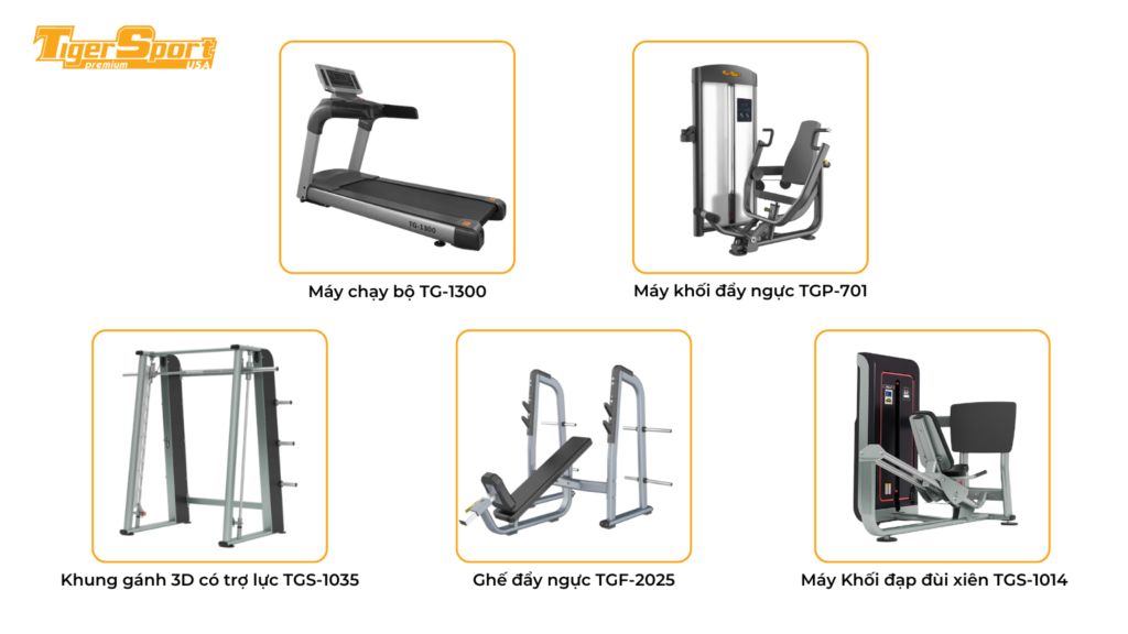 TƯ VẤN SETUP PHÒNG GYM SAPPHIRE FITNESS & YOGA QUẬN 3 - TP.HCM 4