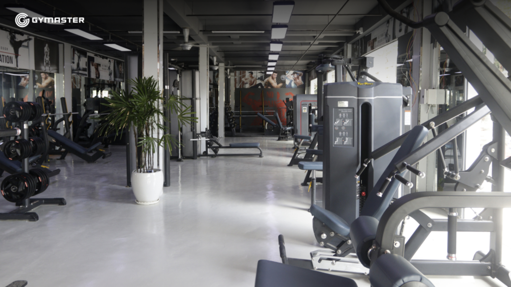 TƯ VẤN SETUP PHÒNG GYM HOÀNG GIA GYM & FITNESS CÀ MAU 3 TƯ VẤN SETUP PHÒNG GYM HOÀNG GIA GYM & FITNESS CÀ MAU 3