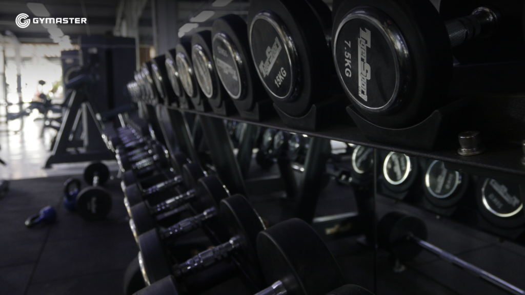 TƯ VẤN SETUP PHÒNG GYM HOÀNG GIA GYM & FITNESS CÀ MAU 7 TƯ VẤN SETUP PHÒNG GYM HOÀNG GIA GYM & FITNESS CÀ MAU 7