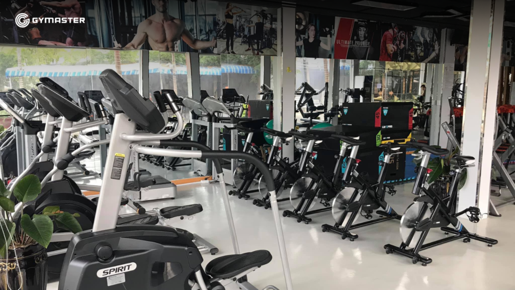 TƯ VẤN SETUP PHÒNG GYM HOÀNG GIA GYM & FITNESS CÀ MAU 2 TƯ VẤN SETUP PHÒNG GYM HOÀNG GIA GYM & FITNESS CÀ MAU 2