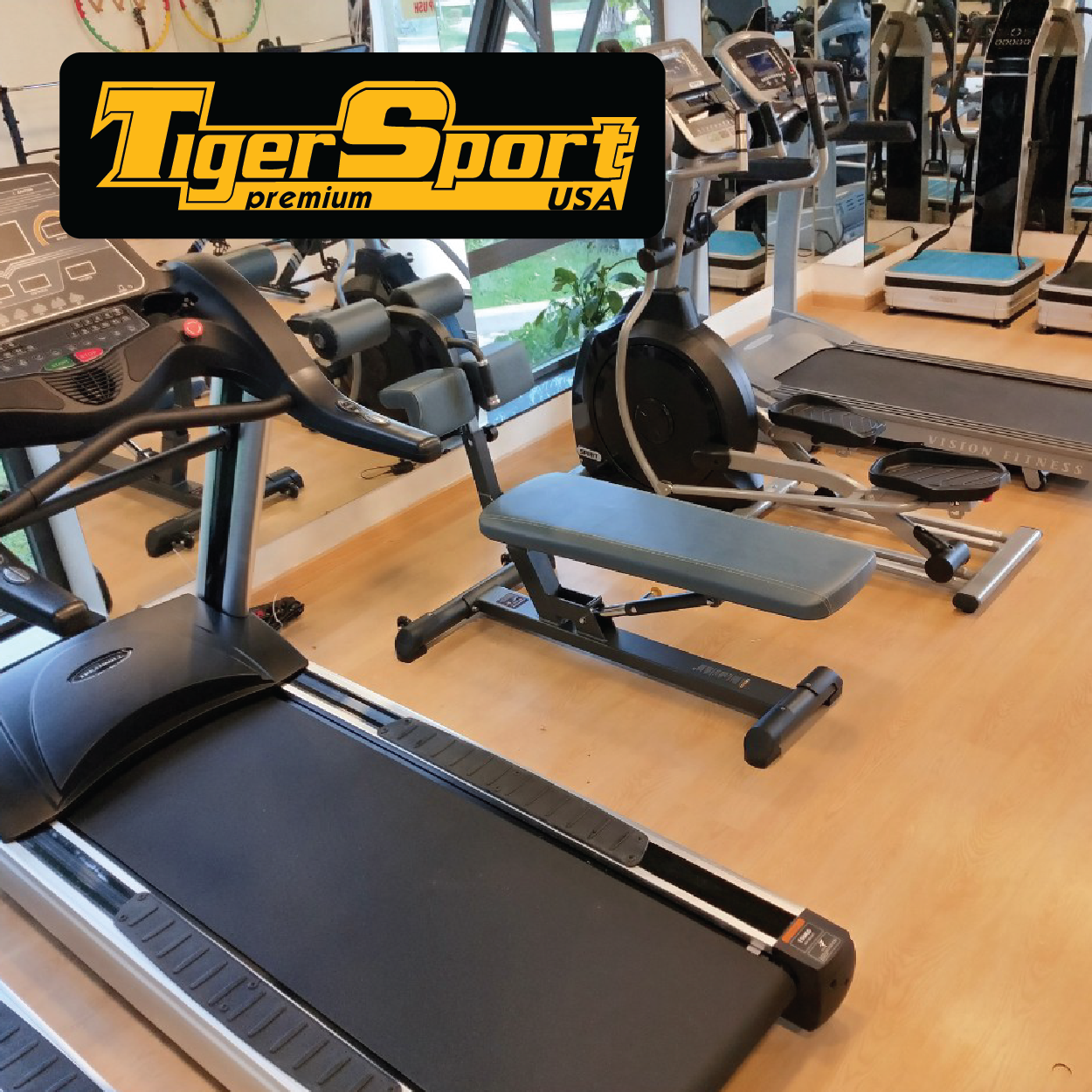 thiết bị phòng gym nhập khẩu