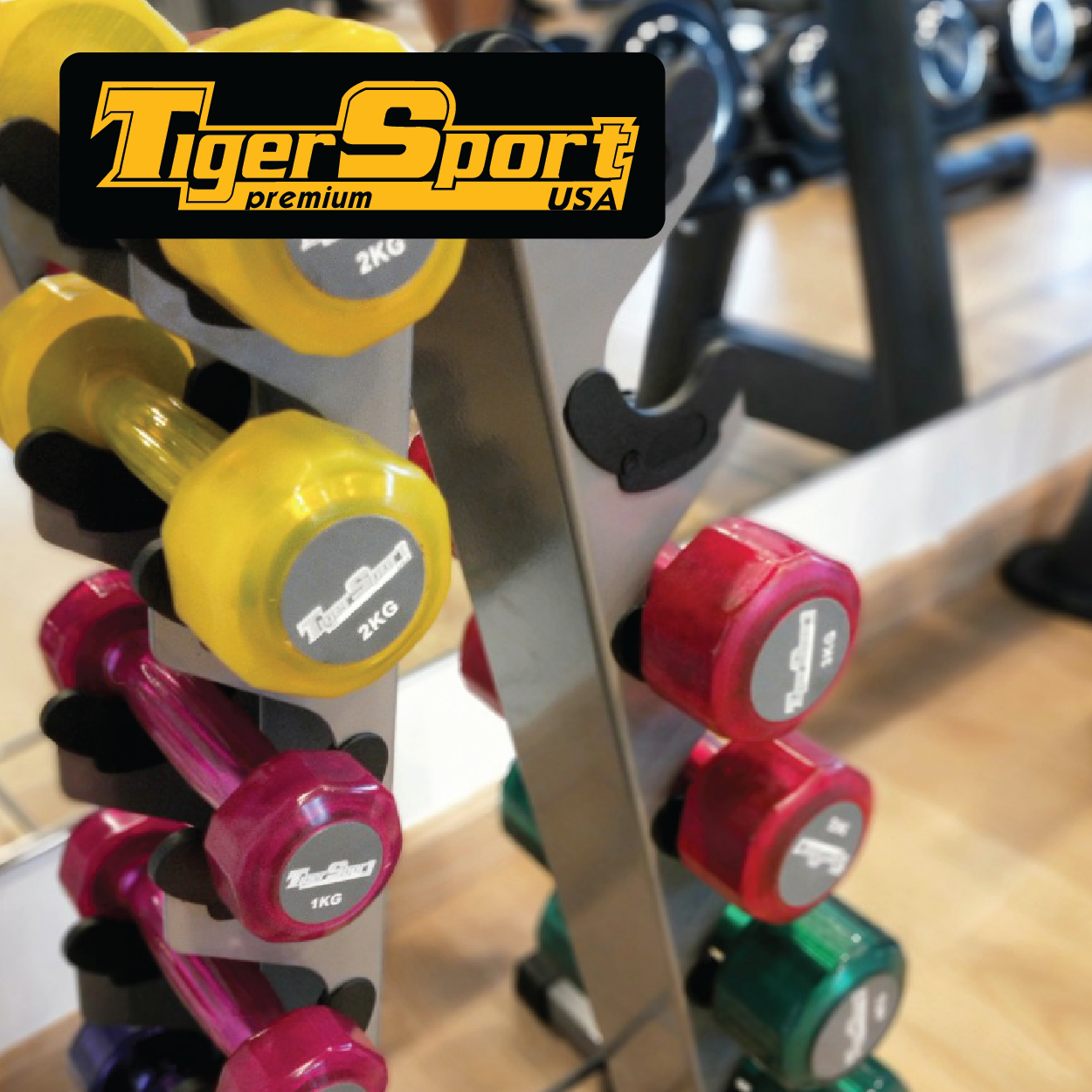 3 Thương Hiệu Thiết Bị Phòng Gym Nhập Khẩu Uy Tín Hiện Nay 4