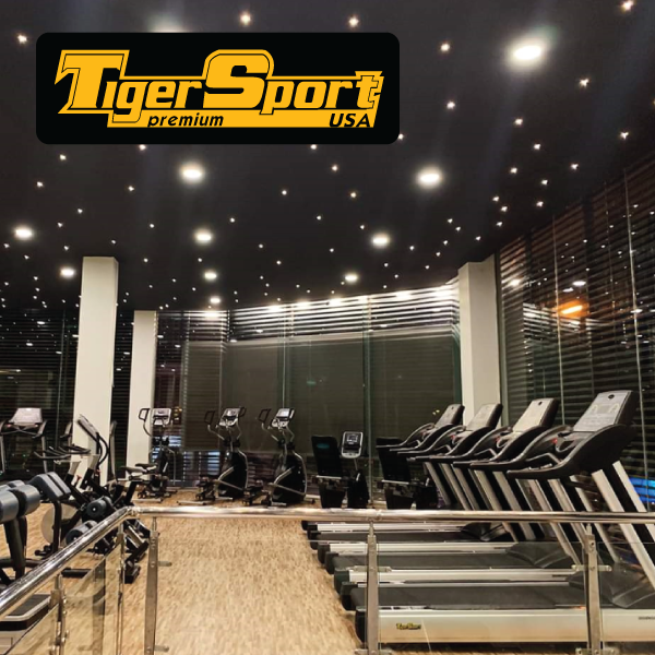 3 Thương Hiệu Thiết Bị Phòng Gym Nhập Khẩu Uy Tín Hiện Nay 3