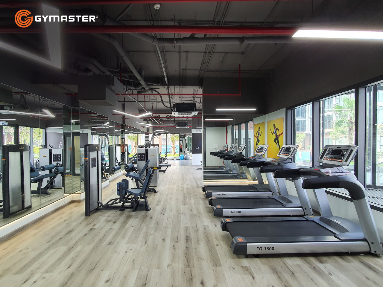 setup phòng gym gymaster eco green máy chạy bộ