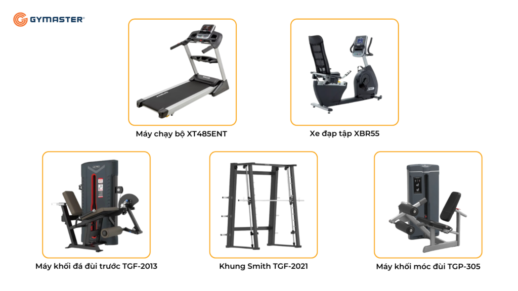 TƯ VẤN SETUP PHÒNG GYM CITYLAND GARDEN HILLS GÒ VẤP - TẬP ĐOÀN CITYLAND GROUP 5 TƯ VẤN SETUP PHÒNG GYM CITYLAND GARDEN HILLS GÒ VẤP - TẬP ĐOÀN CITYLAND GROUP 5
