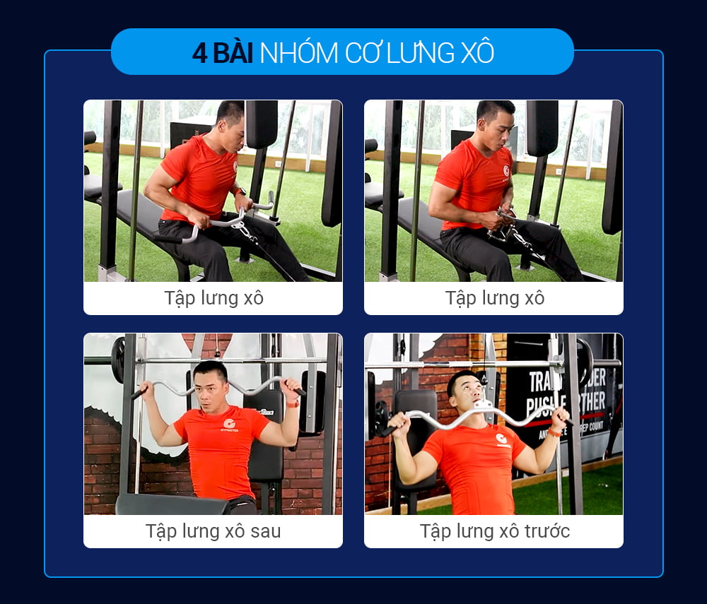 Giàn tạ đa năng Tiger Sport TGH-997 10