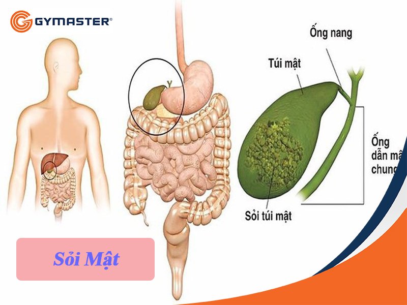 5_8a6dff62f61f46f3afaf4e06eccb00f8 Hậu Quả Khôn Lường Khi Nhịn Ăn Để Giảm Cân 4
