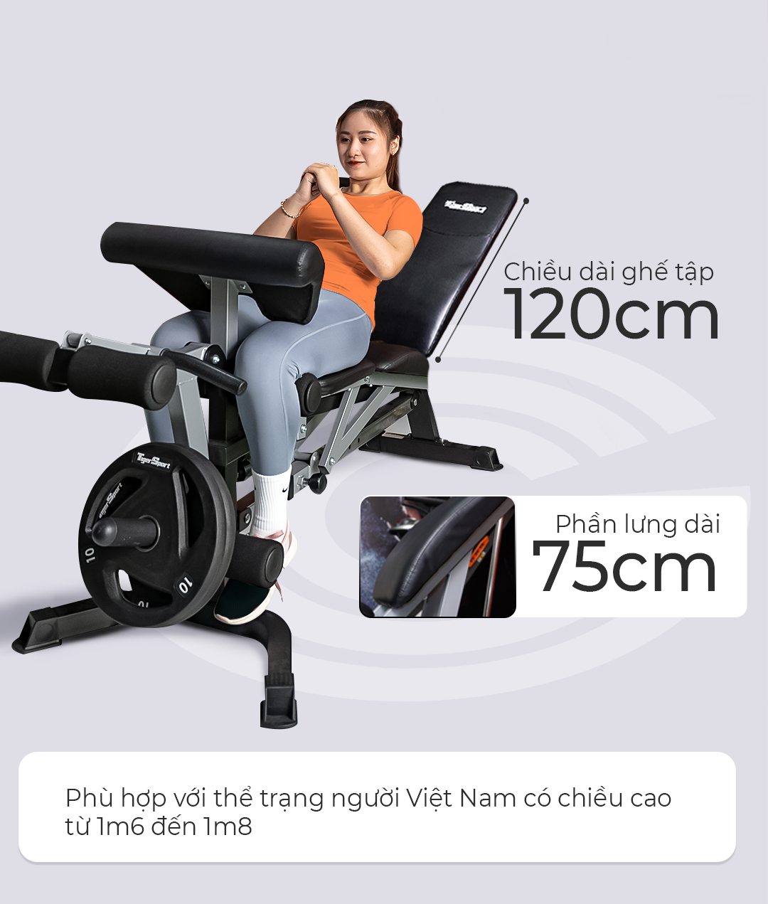 Giàn tạ đa năng Tiger Sport TGH-998 16