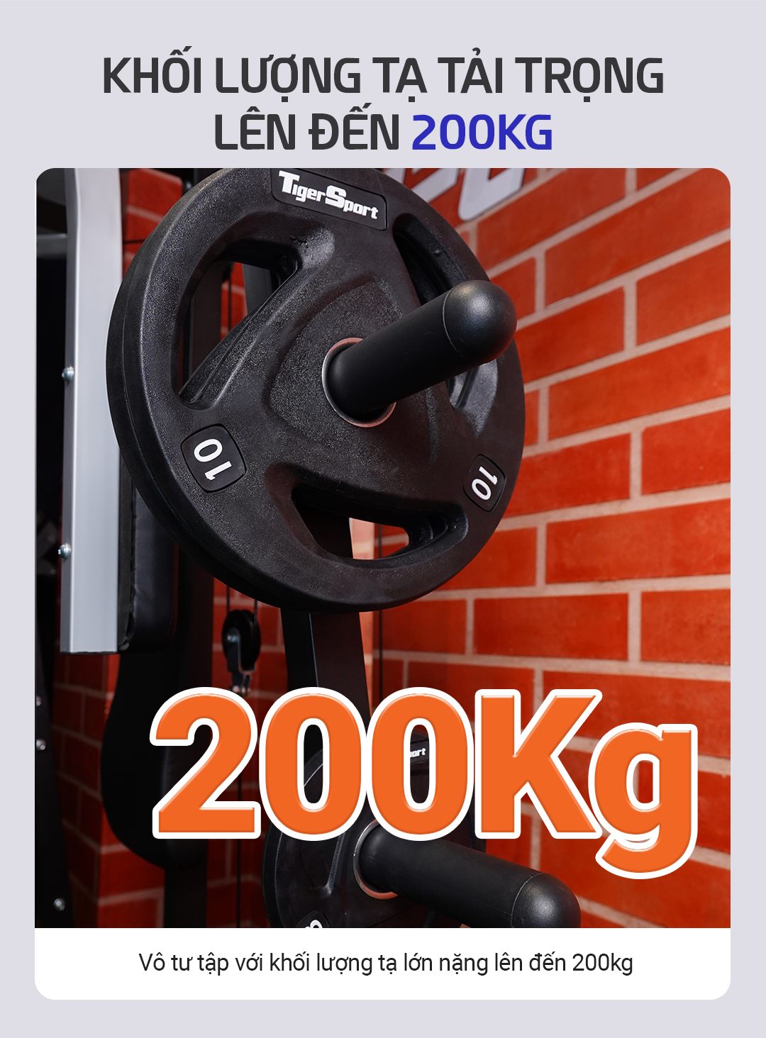 Giàn tạ đa năng Tiger Sport TGH-998 17
