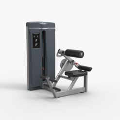 Back Extension Máy khối tập lưng tgp-370