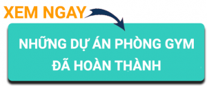 Mua máy tập gym ở đâu uy tín chất lượng 8