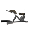 ROMAN BENCH Ghế tập lưng eo Tiger Sport TGF-2028 2