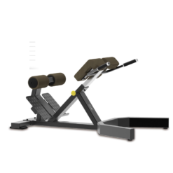 ROMAN BENCH Ghế tập lưng eo Tiger Sport TGF-2028