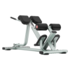ROMAN BENCH Máy tập cơ lưng và tập cơ hông Tiger Sport TGS-1042 4 ROMAN BENCH Máy tập cơ lưng và tập cơ hông Tiger Sport TGS-1042