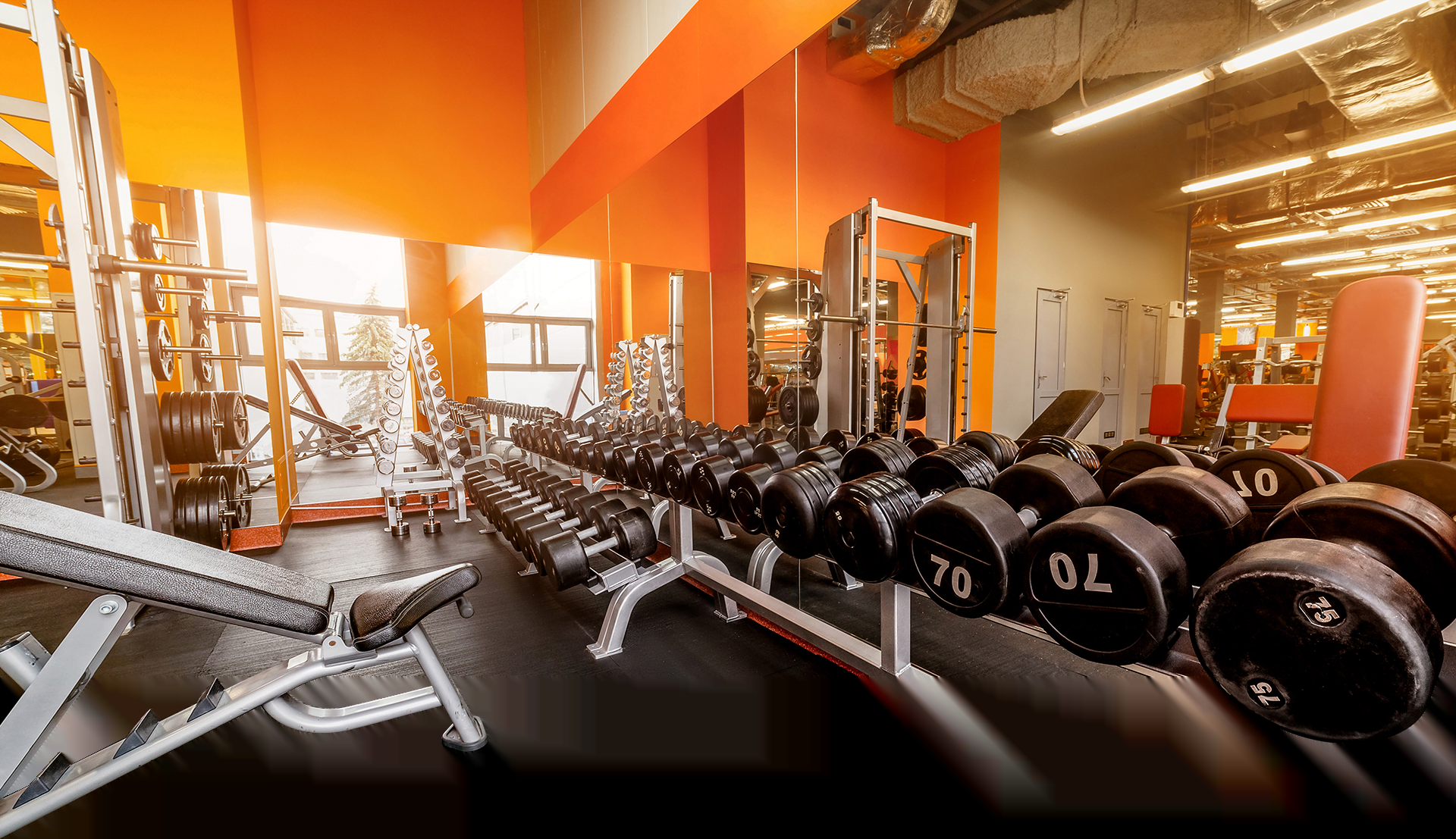Giới thiệu 81