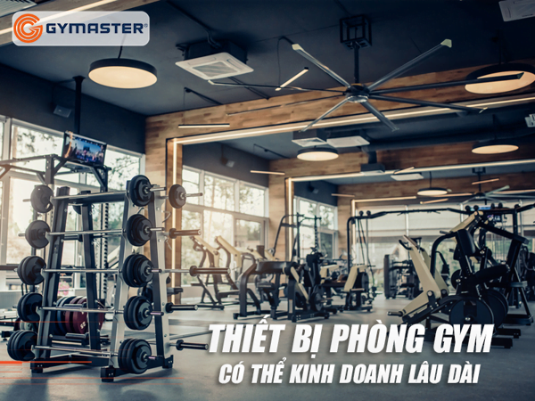 hinh-4_085942eead1e44d6aaefc70227084370_grande-101 setup phòng gym