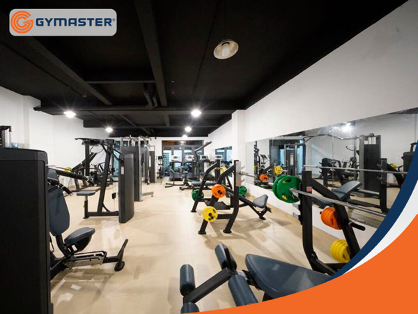 Vì Sao Nhiều Phụ Huynh Hướng Con Khởi Nghiệp Kinh Doanh Phòng Gym 1