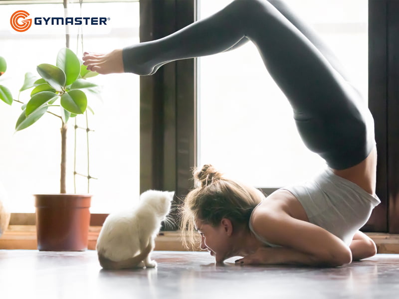 lop_hoc_yoga_05_90efb04dc4604b46978312282a82c98d Đi Tìm Lớp Học Yoga Phù Hợp Với Bạn 5