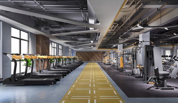 Setup phòng gym 500 triệu như thế nào để hiệu quả. 2