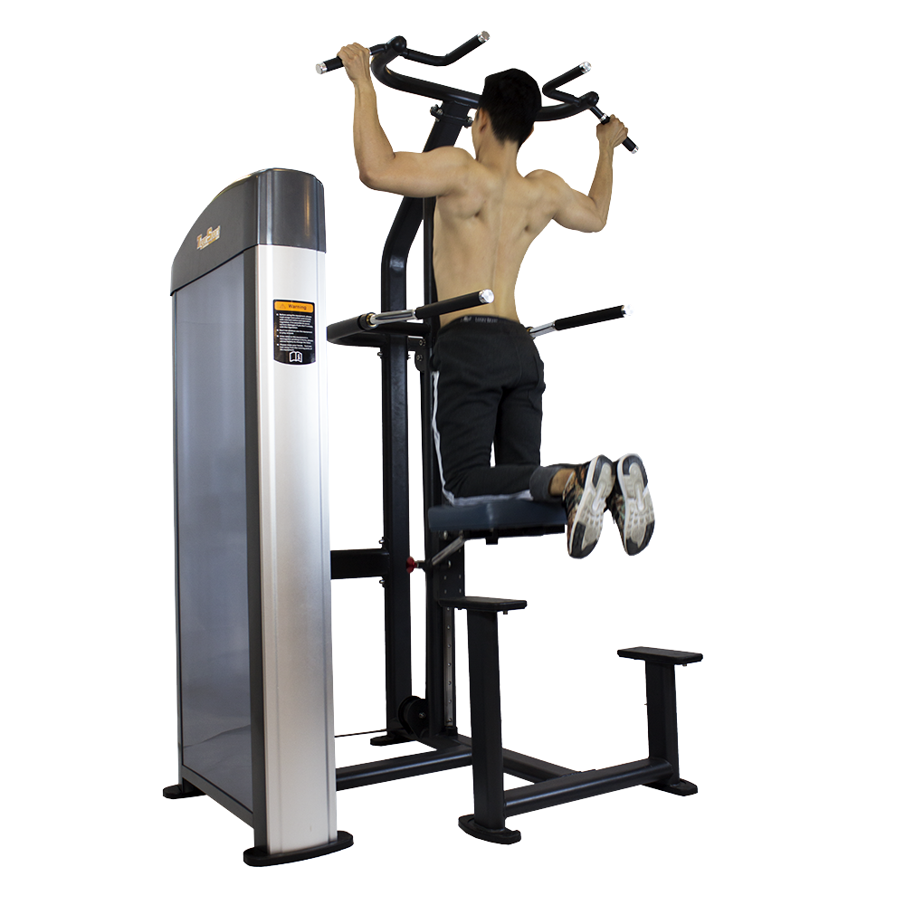 Máy tập xà đơn/xà kép Tiger Sport TGP-790 13 Máy tập xà đơn/xà kép Tiger Sport TGP-790 18