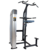 Máy tập xà đơn/xà kép Tiger Sport TGP-790 7