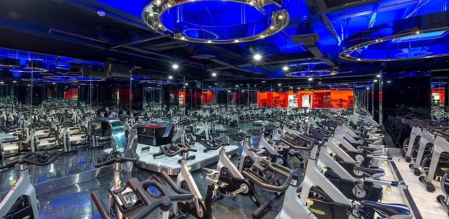 Kinh doanh phòng gym - Tiềm năng xu hướng Kinh doanh bền vững trong tương lai 1 Kinh doanh phòng gym - Tiềm năng xu hướng Kinh doanh bền vững trong tương lai 1