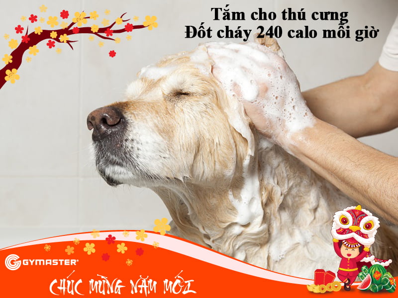 post_303_c55d046e893f4d1a913f7884f8262102 13 CÔNG VIỆC NÊN LÀM NGÀY TẾT ĐỂ GIẢM MỠ HIỆU QUẢ ( PHẦN 1) 5