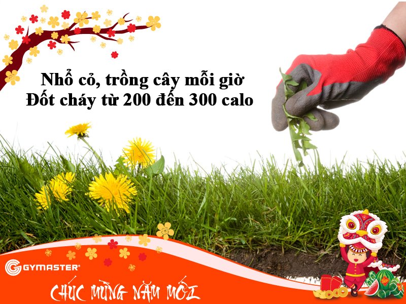 13 CÔNG VIỆC NÊN LÀM NGÀY TẾT GIÚP GIẢM MỠ HIỆU QUẢ ( PHẦN 2) 6