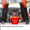 Incline Chest Press Robot đẩy ngực trên TGP-420 10