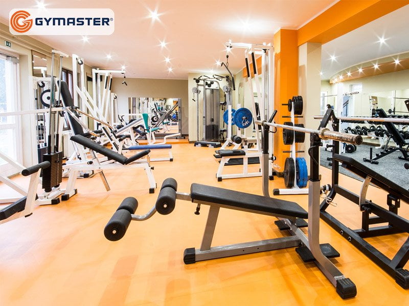 mở phòng gym có lời không?