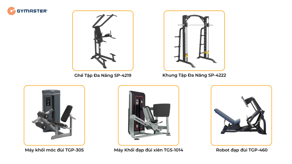 TƯ VẤN SETUP PHÒNG GYM MAI LONG GYM & FITNESS LONG AN 6