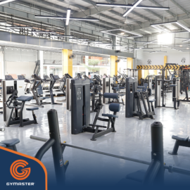 3 Thương Hiệu Thiết Bị Phòng Gym Nhập Khẩu Uy Tín Hiện Nay 46