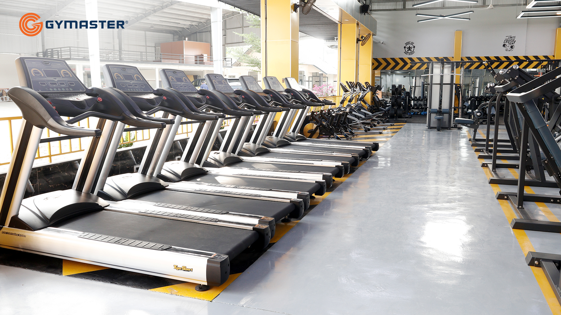 TƯ VẤN SETUP PHÒNG GYM DỰ ÁN BODY TECH CLUB TÂY NINH 3 setup phòng gym Bodytech Tây Ninh máy chạy bộ