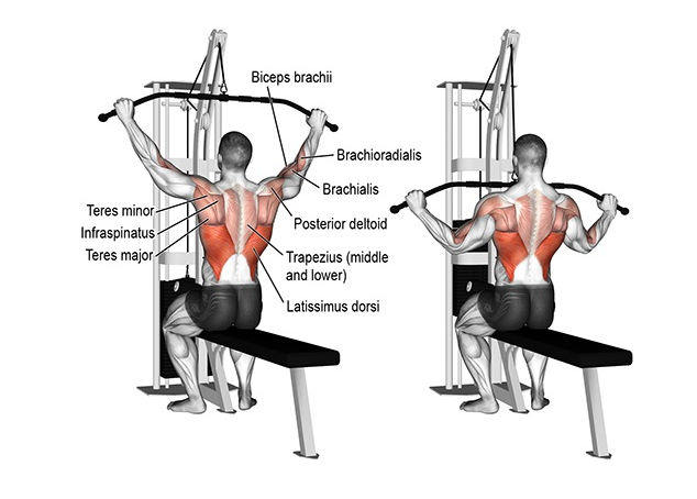 Top 10 Thiết Bị Phòng Tập Gym Nào Cũng Cần Đầu Tư 4