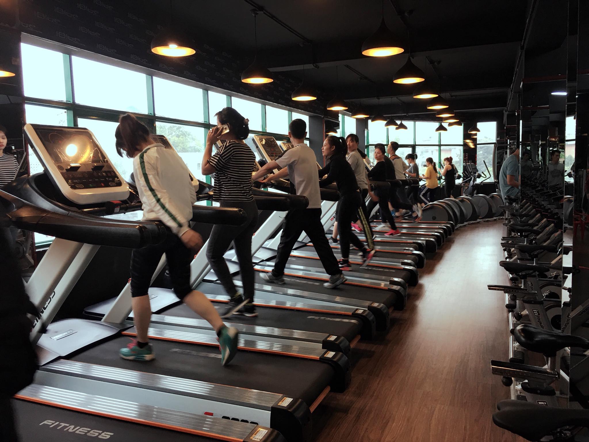 thiết bị phòng gym