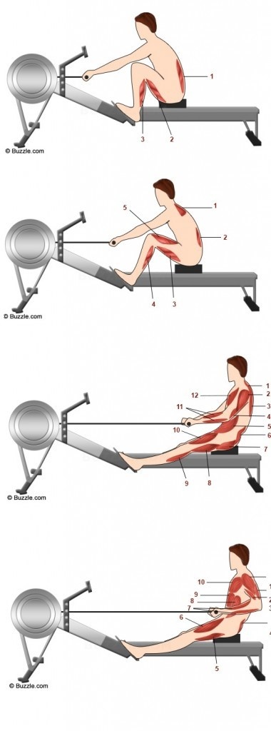 máy tập chèo thuyền