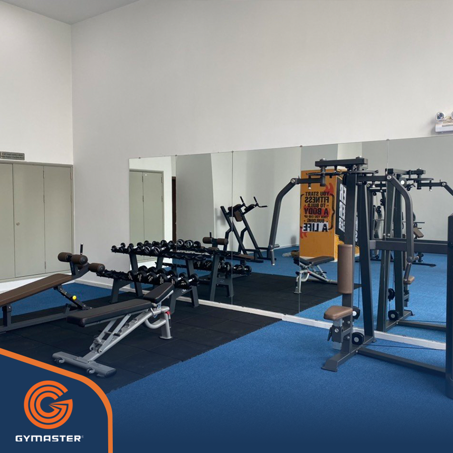 Dụng Cụ Tập Gym Tại Nhà: Phân Loại, Thương Hiệu, Mua Loại Nào 15