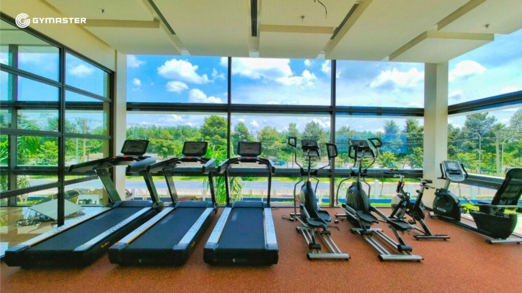 TƯ VẤN SETUP PHÒNG GYM CÔNG TY SPARTRONICS BÌNH DƯƠNG - TẬP ĐOÀN SPARTON 12