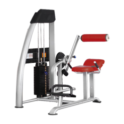(Deal Sốc - New 100%) Máy Khối Tập Lưng Tiger Sport TG-170